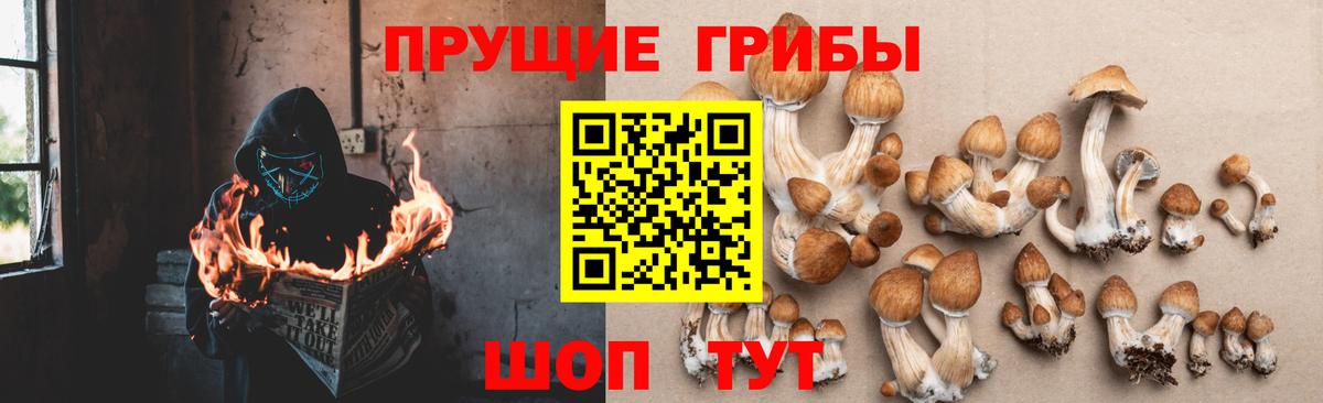 Котовск  Галлюциногенные грибы ЛСД  Вход с VPN 